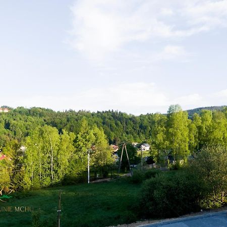 Apartamenty "Kwiaty Nocy" I "W Krainie Mchu" - Висла Экстерьер фото