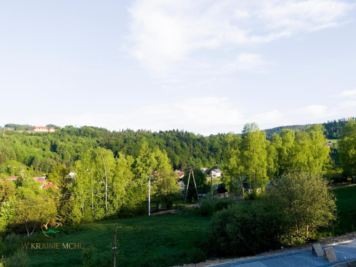 Apartamenty "Kwiaty Nocy" I "W Krainie Mchu" - Висла Экстерьер фото